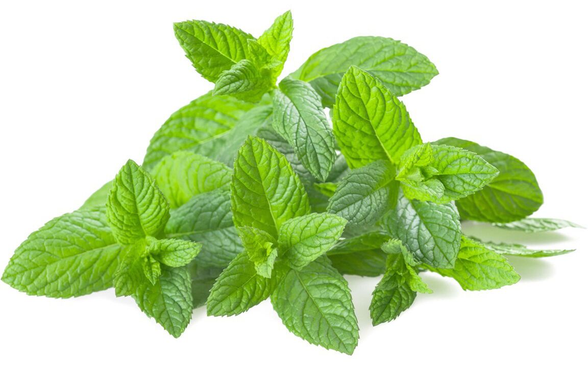 Mint Oil in ZXCVBNMQWT